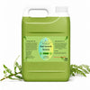 Moringa Hair Growth Oil 1 Gallon