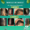 Moelle De Boeuf Hair Growth Kit – Pomade 4 oz, Oil 4oz & Brush